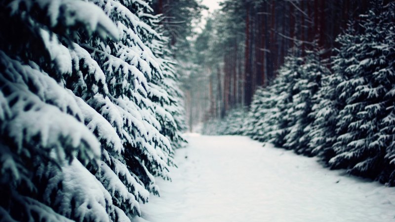 amazing, nature, beautiful, winter
