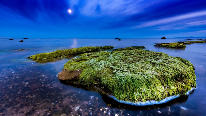 dusk, oceans, nature, sea, rocks, moss