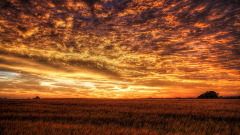 sunset, sky, clouds, field