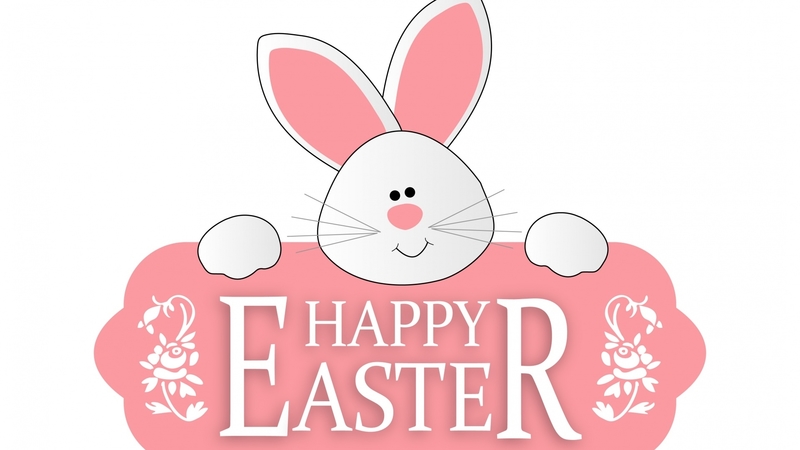 bunny, easter, pink, white, greetings