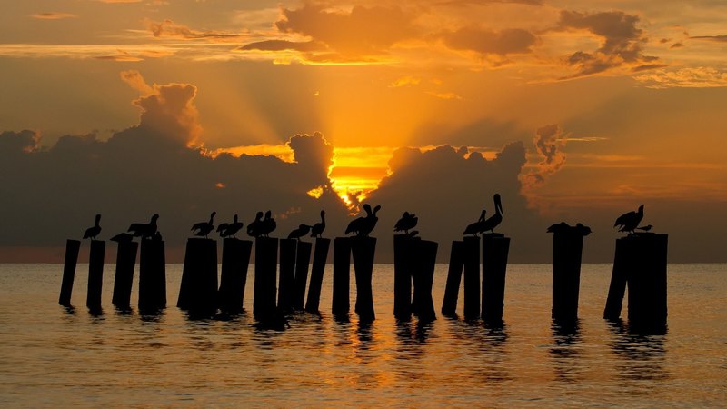 pillars, birds, sunset, clouds, sea