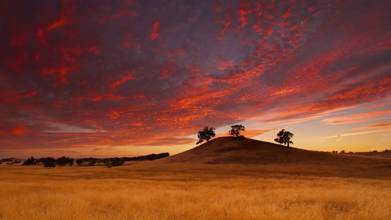 cool, desert, nature, sunset, fun, field