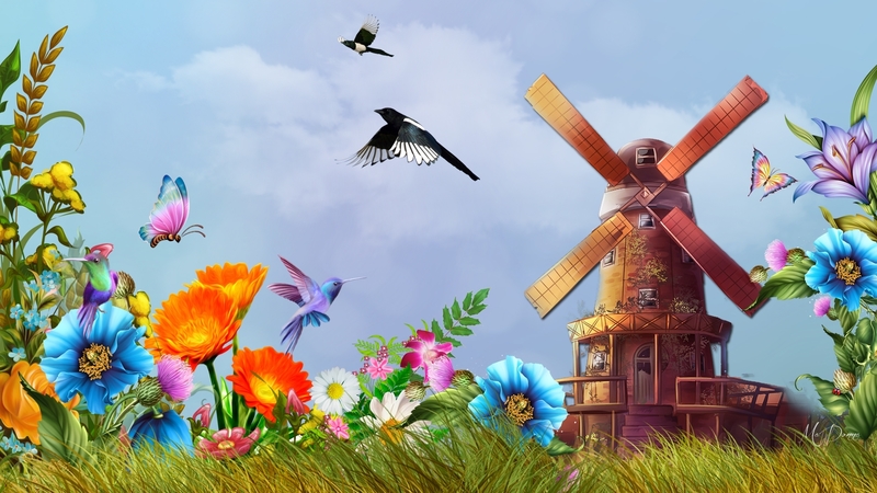 field, firefox theme, windmill, dutch, netherlands, birds, spring, butterflies, hummingbird, sky, holland, flowers, summer
