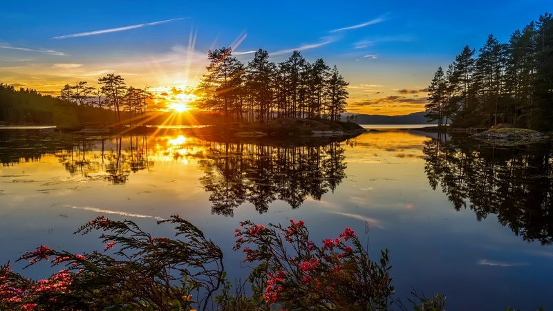 amazing, glow, fiery, beautiful, sunset, trees, sky, heat, sea, water, wildflowers, island, reflection