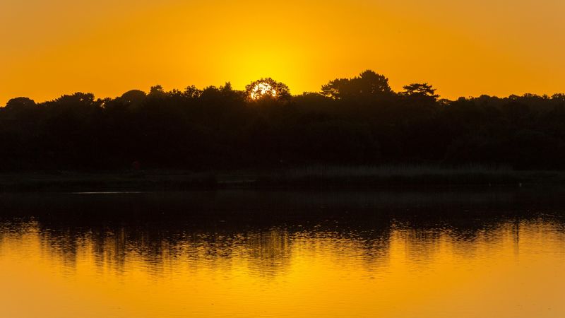 lake, trees, sunset, reflection, sky, ripples, 4k