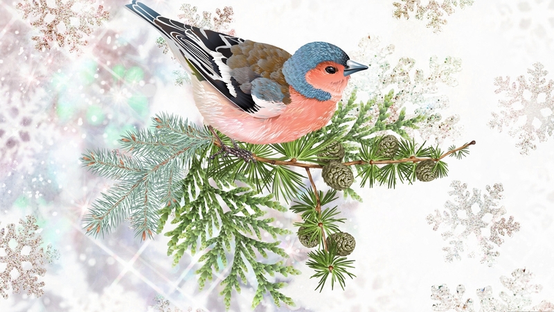snow, bird, bull finch, fir, cedar, finch, snow flakes, winter, firefox theme