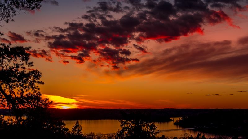 trees, lake, sunset, clouds, sky, evening, 4k