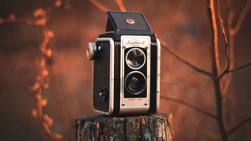camera, vintage, retro, stump, blur, 4k