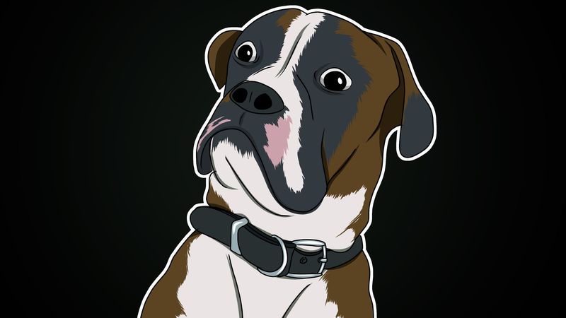 dog, wonderment, emotion, meme, sticker, 4k