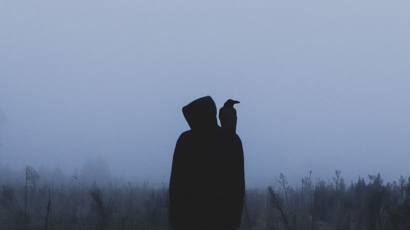 silhouette, crow, hood, loneliness, fog, 4k