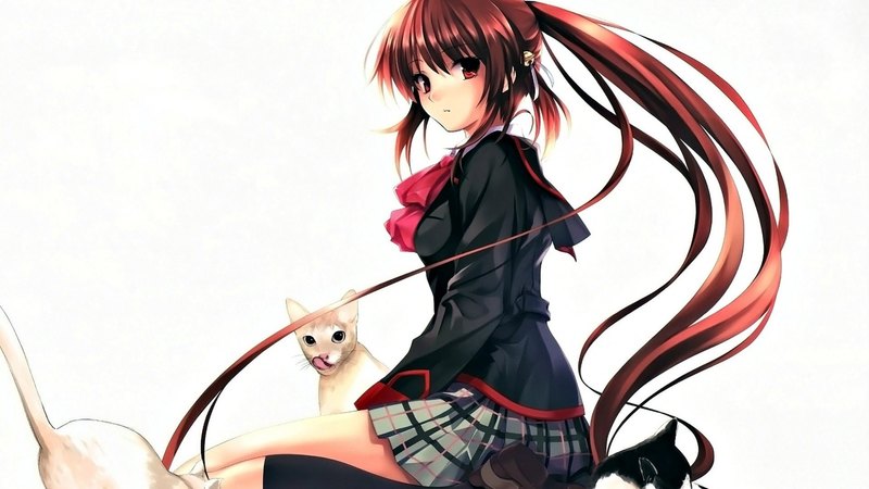 cute, girl, anime, kittens, cats, kawai