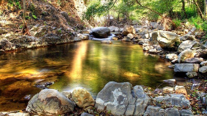 forest, sunrays, stones, creek, reflection