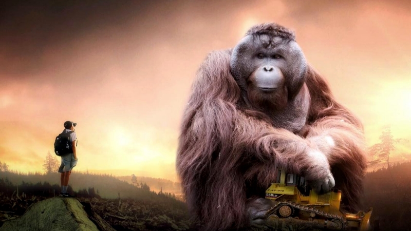 tractor, hills, gorilla, man