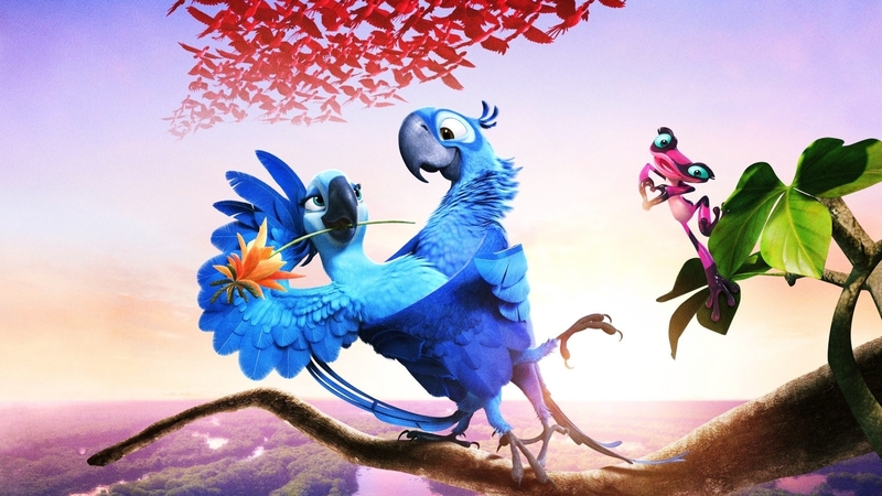 birds, frog, parrots, film