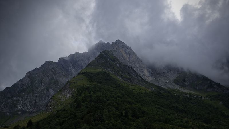 city, fog, forest, 4k