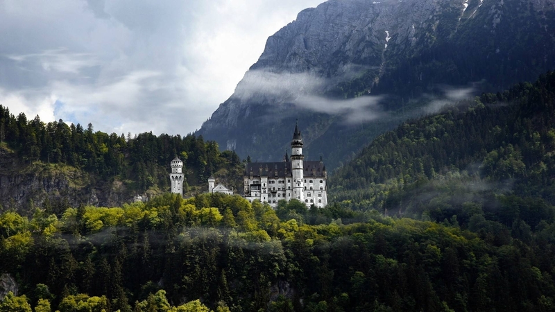 forest, cool, nature, fun, castle