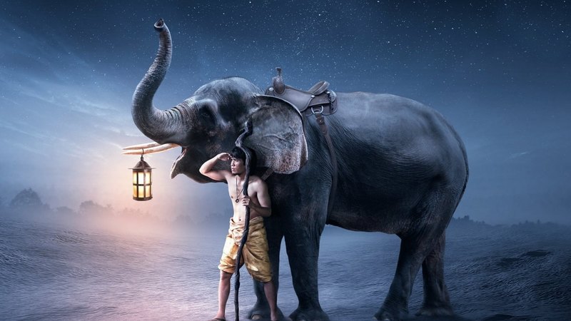 art, man, elephant, animal