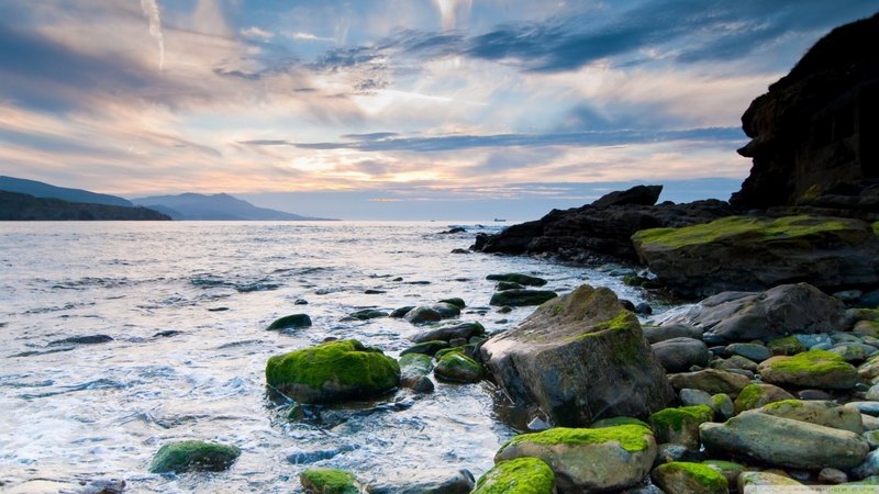 beach view, sunset, rocks with green little leaves, beautiful sky