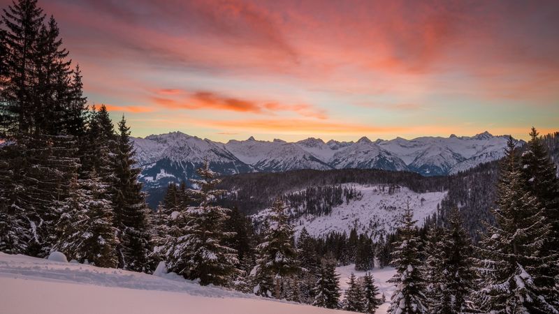 mountains, winter, snow, fir-trees, trees, hills, 4k
