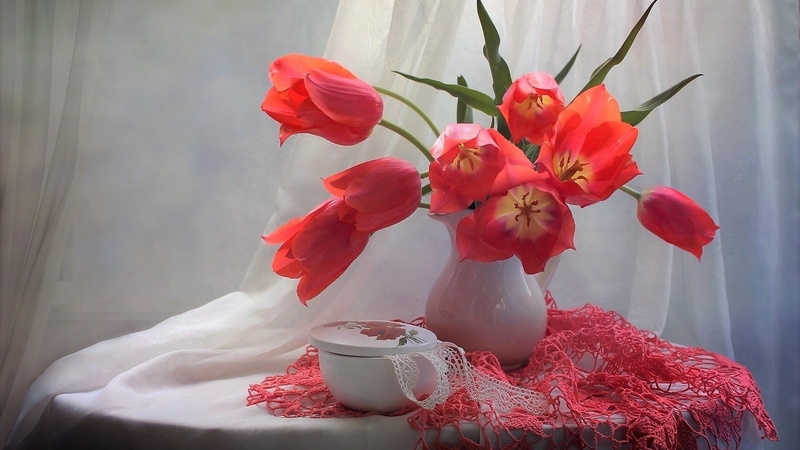 vase, photography, still, life