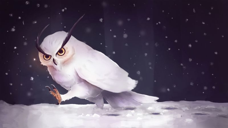 owl, snow, art, snowfall, steps, 4k