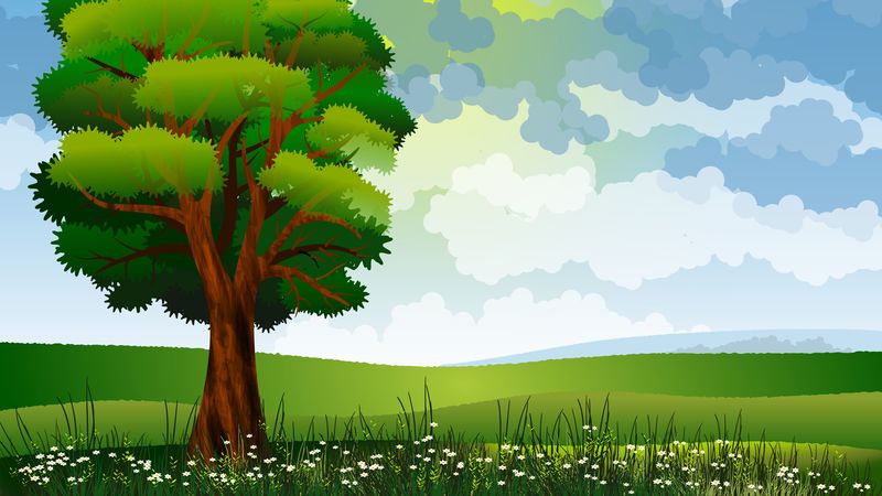 tree, art, field, flowers, summer, 4k