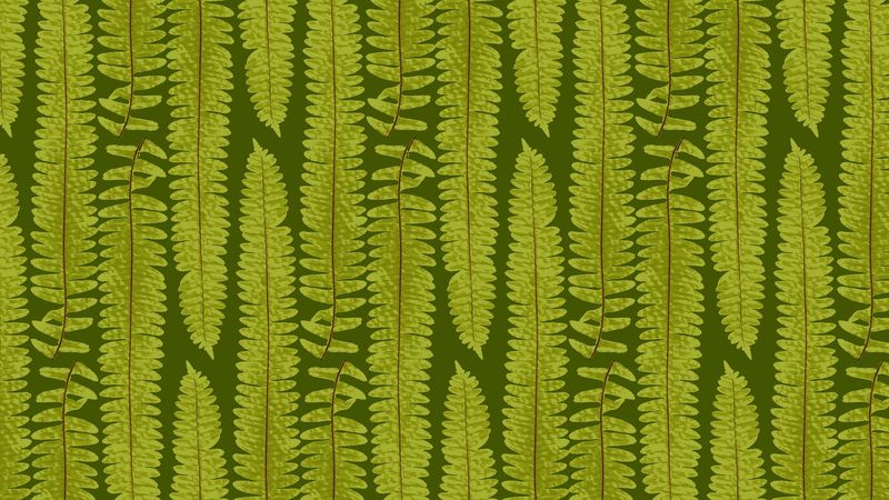 fern, leaves, texture, art, plant, green, 4k