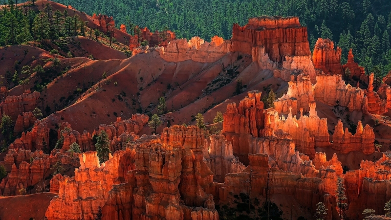 canyon, park, national, bryce