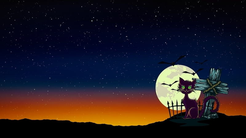 sky, cat, abstract, halloween