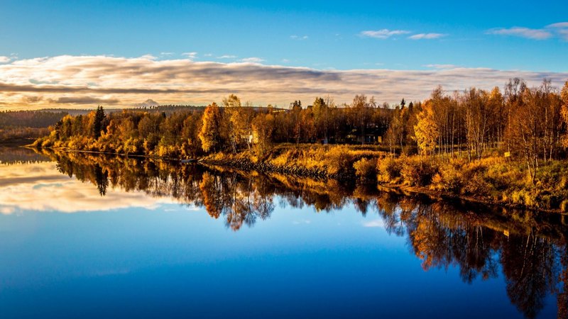forest, autumn, nature, lake