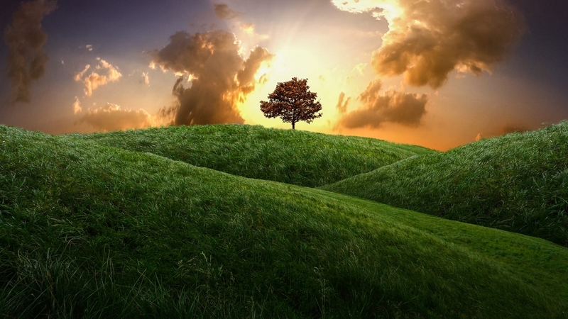 tree, cloud, hill, landscape