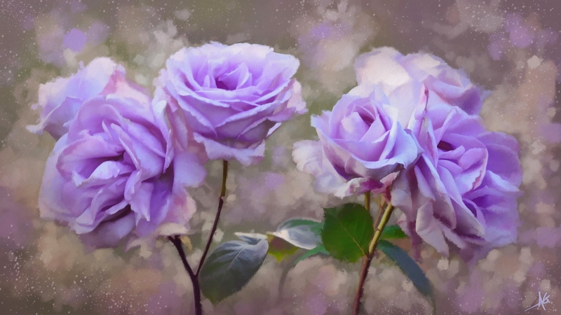 art, lovely, scent, beautiful, roses, fragrance, leaves, flowers, petals