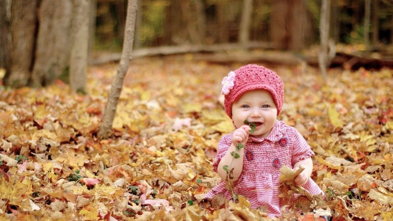 forest, autumn, toamna, yellow, smile, baby, mood, hat, leaf, cute, girl, child, pink