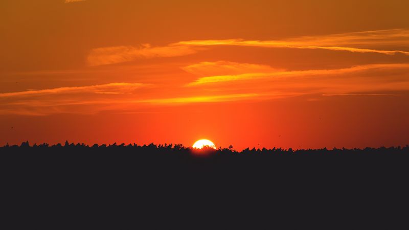 sun, sunset, silhouette, forest, 4k