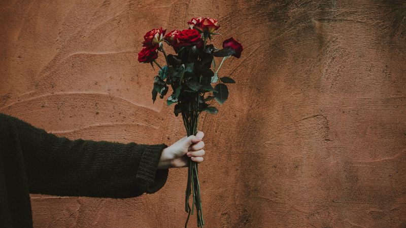 roses, bouquet, hand, wall, 4k