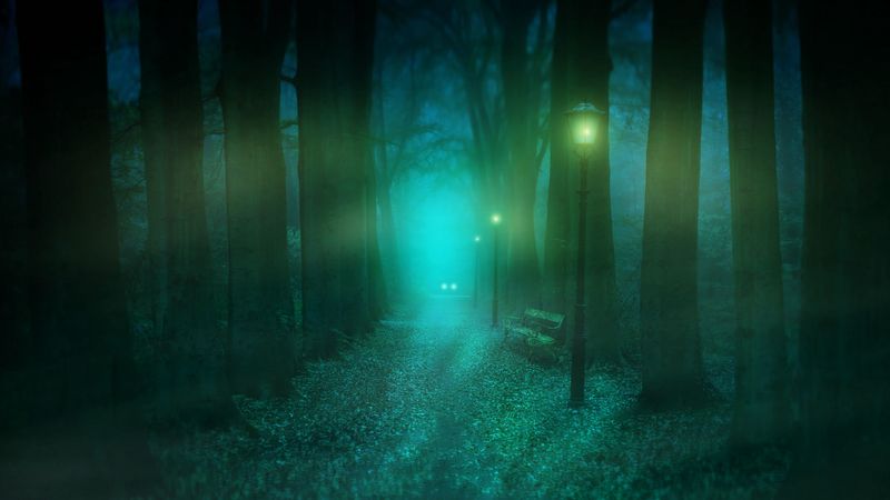 park, fog, lantern, bench, mystical, 4k