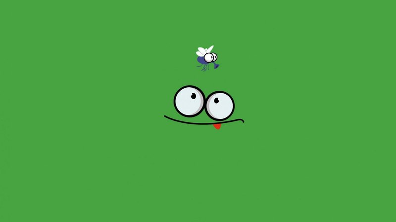 face, bug, hunt, green
