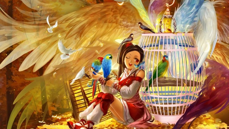birds, magic, fantasy, girl