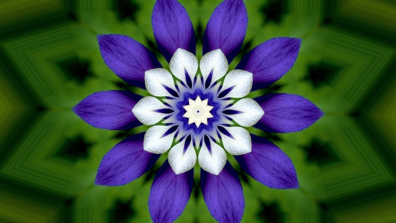 art, beautiful, abstract, illustration, high quality, artwork, painting, wide screen, flower, computer graphics