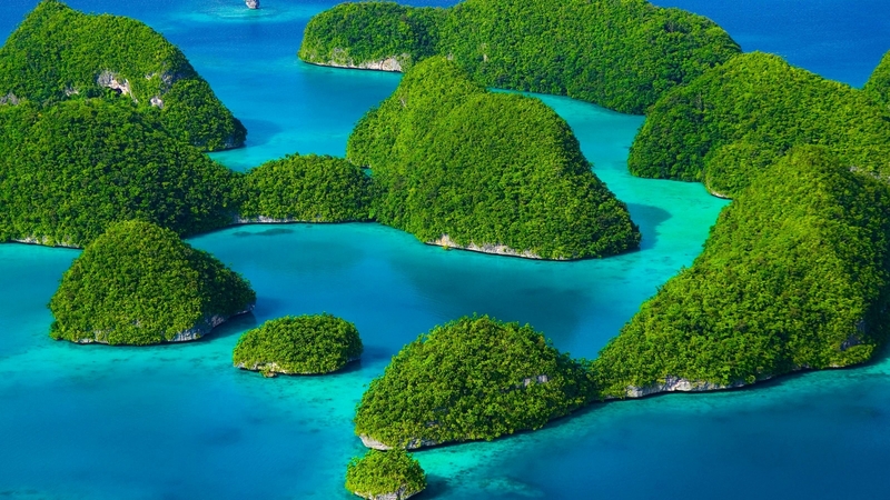 islands, cool, ocean, nature, fun, trees