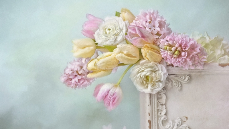 white, pink, still life, flower, vase, tulip