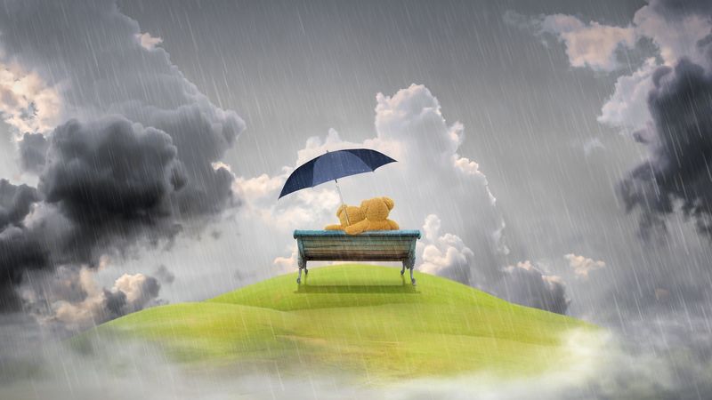 bench, rain, teddy bear, love, 4k