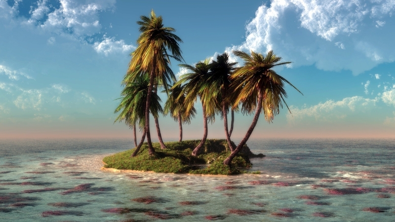 sky, clouds, sea, palms