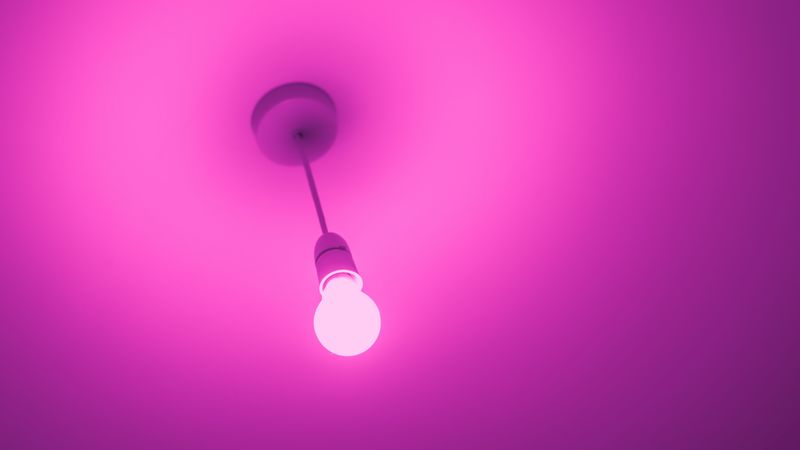 light bulb, electricity, pink, minimalism, 4k