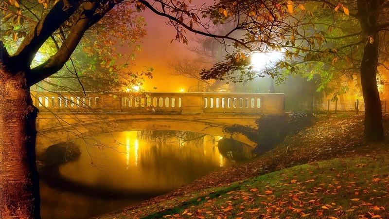 lake, autumn, bridge, beautiful, evening, trees, reflection