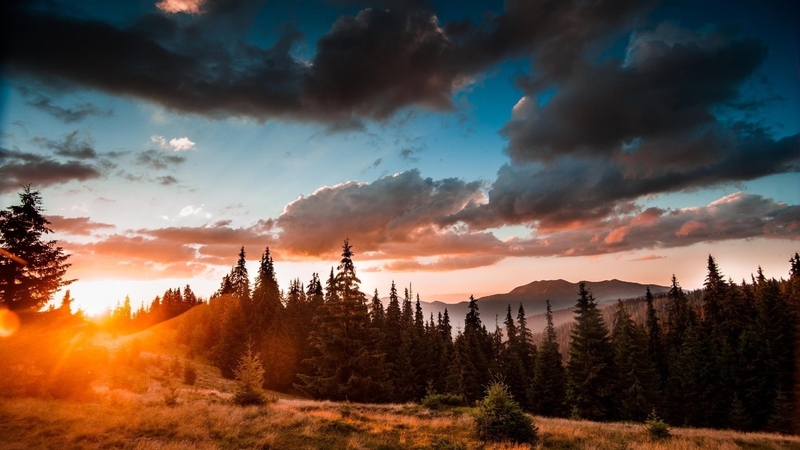 forest, rays, mountains, sunrise, clouds
