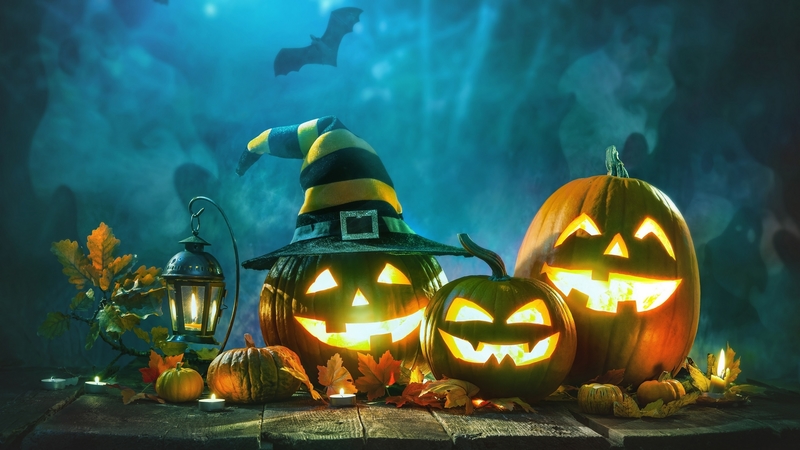 art, bat, jack o lantern, digital, pumpkins, lights, night