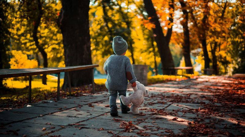 child, teddy bear, autumn, walk, 4k