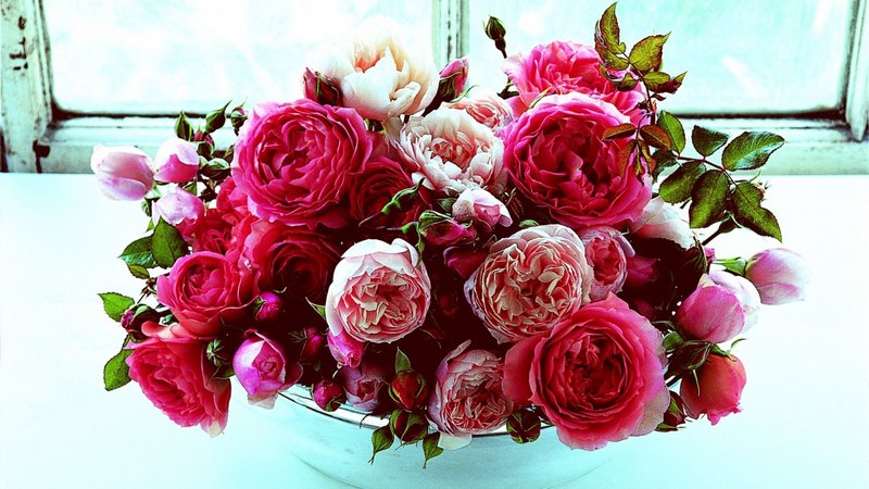 blossoms, arrangement, flowers, window