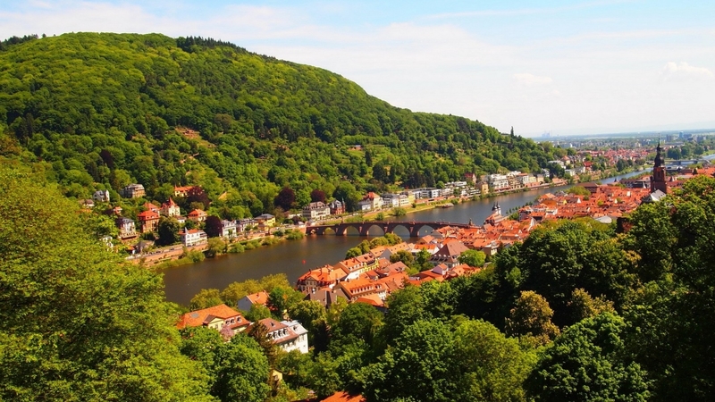 mountain, bridge, town, river, trees